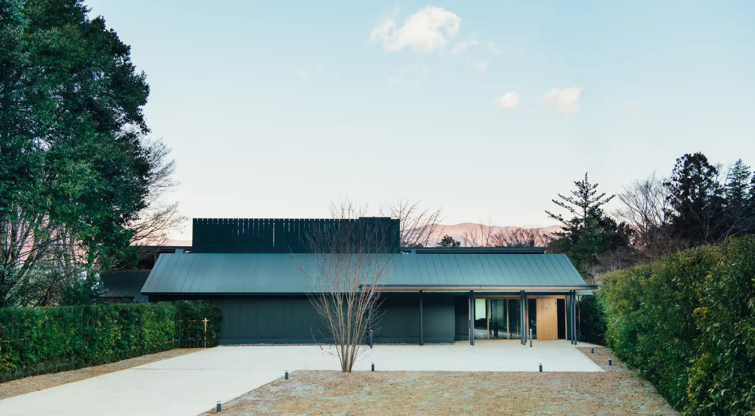 十勝ロイヤルマンガリッツァ豚