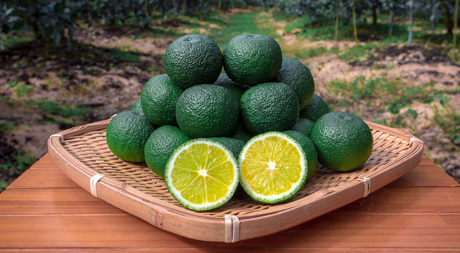 旅するコンフィチュール