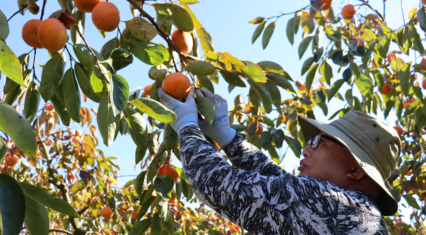 JAいび川 by 産直プライム